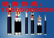 防爆電纜選購指南 廠家直銷、生產標準與高清圖示詳解